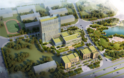 ��������ḣ���ۺϷ���������Ŀϲӭ�ⶥ